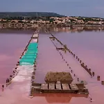 Tamaris - Authentique - Des Gruissan