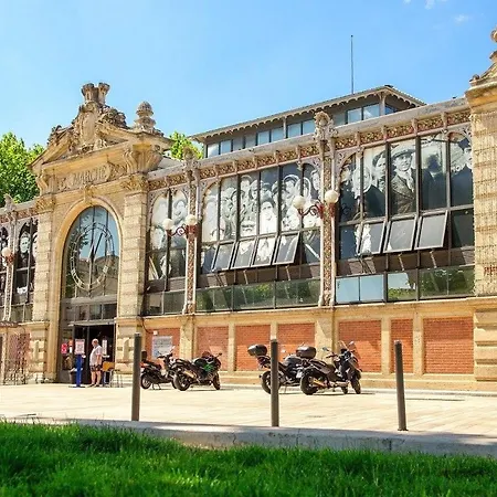 Tamaris Chalet Gruissan