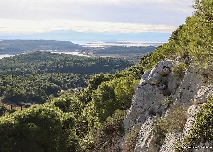 Tamaris - Authentique - Des Gruissan